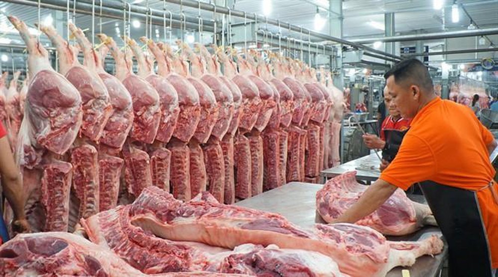 Kim ngạch nhập khẩu thịt lợn của Việt Nam tăng mạnh